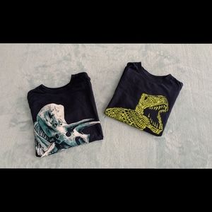 Boy's Dinosaur Shirts
